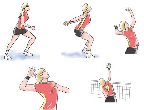Voleybol Terimleri Görseli